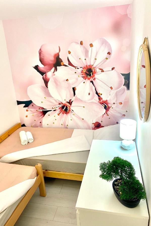 Apartment Beshtie ザダル エクステリア 写真
