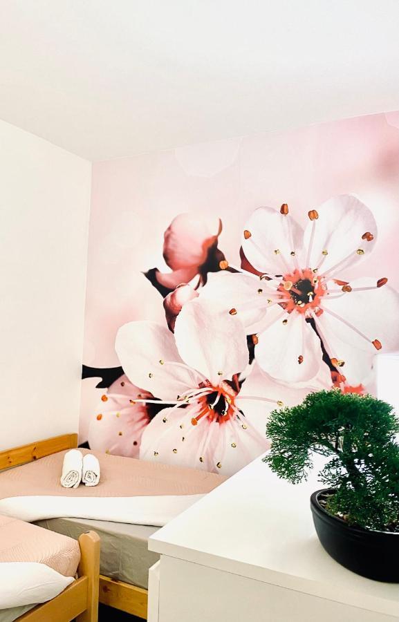 Apartment Beshtie ザダル エクステリア 写真