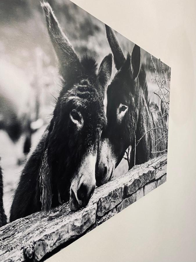 Apartment Beshtie ザダル エクステリア 写真
